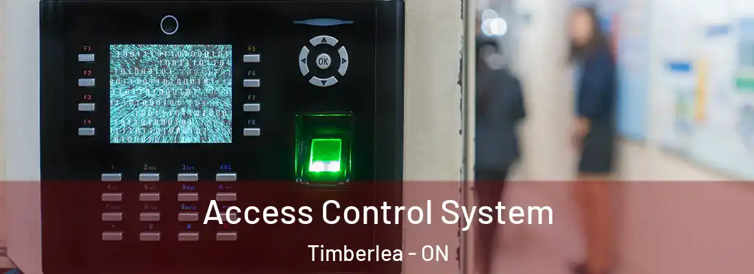  Access Control System Timberlea - ON