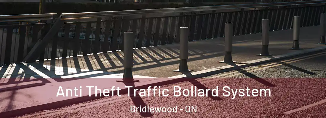  Anti Theft Traffic Bollard System Bridlewood - ON