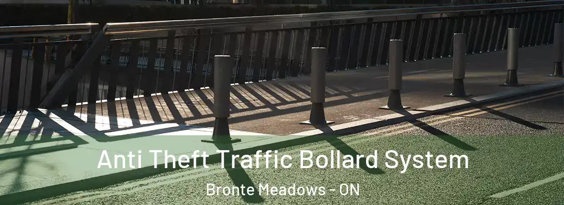  Anti Theft Traffic Bollard System Bronte Meadows - ON