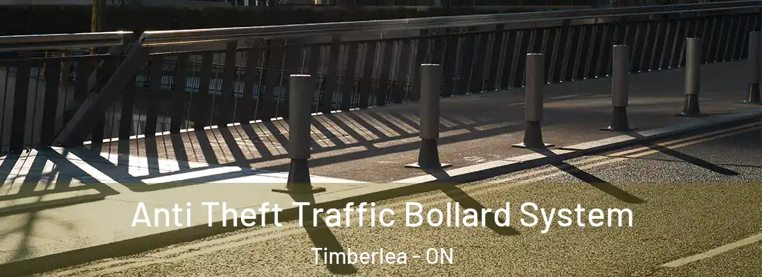  Anti Theft Traffic Bollard System Timberlea - ON