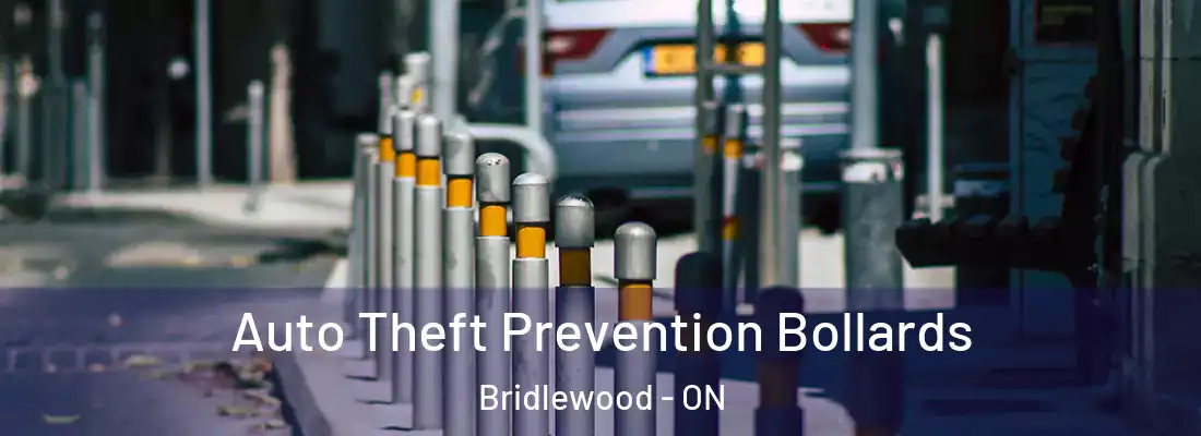  Auto Theft Prevention Bollards Bridlewood - ON