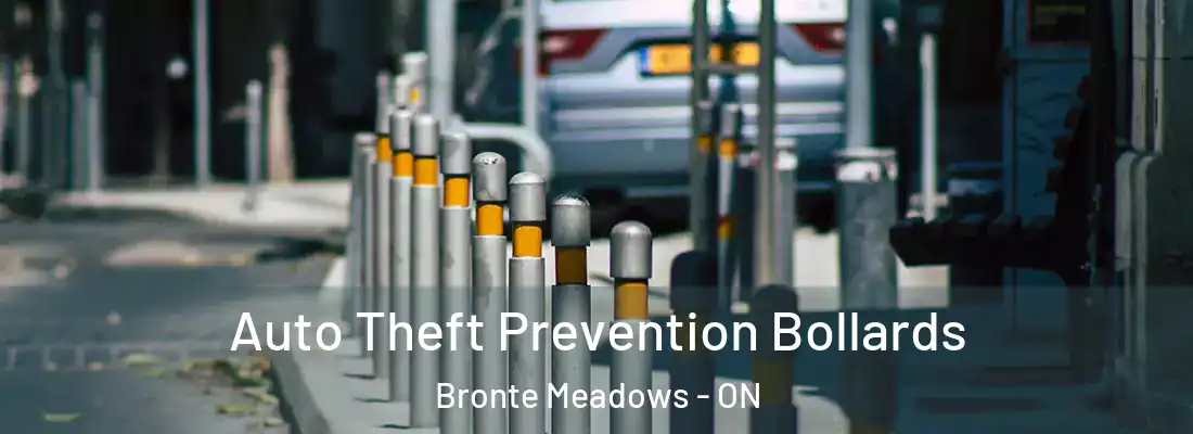  Auto Theft Prevention Bollards Bronte Meadows - ON