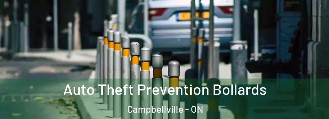 Auto Theft Prevention Bollards Campbellville - ON