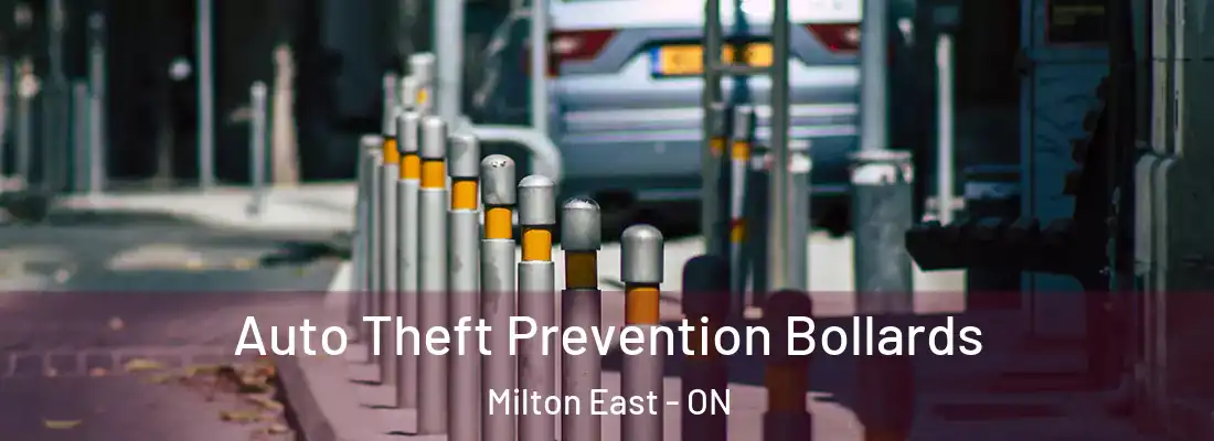  Auto Theft Prevention Bollards Milton East - ON