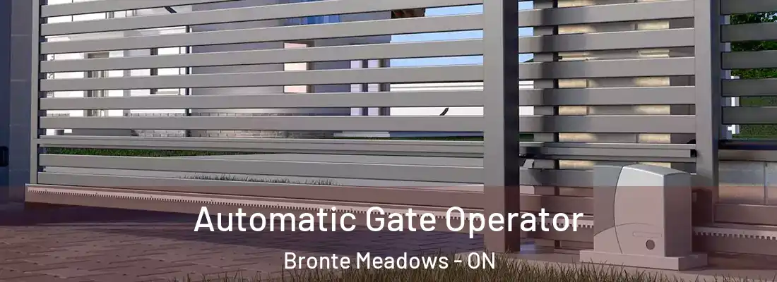  Automatic Gate Operator Bronte Meadows - ON
