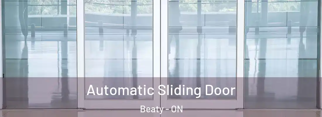  Automatic Sliding Door Beaty - ON