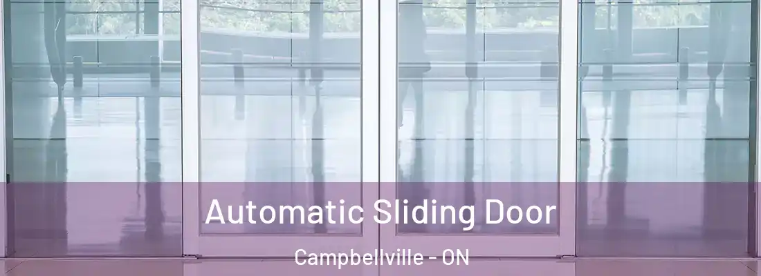  Automatic Sliding Door Campbellville - ON