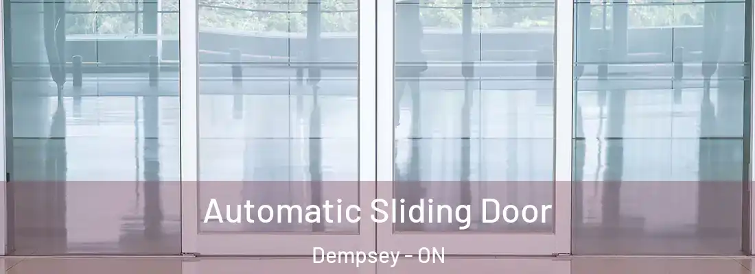 Automatic Sliding Door Dempsey - ON