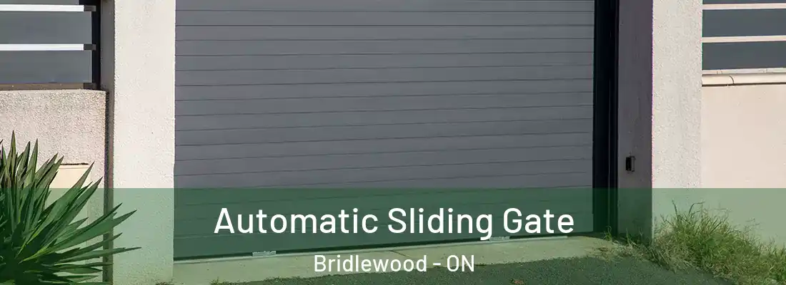  Automatic Sliding Gate Bridlewood - ON