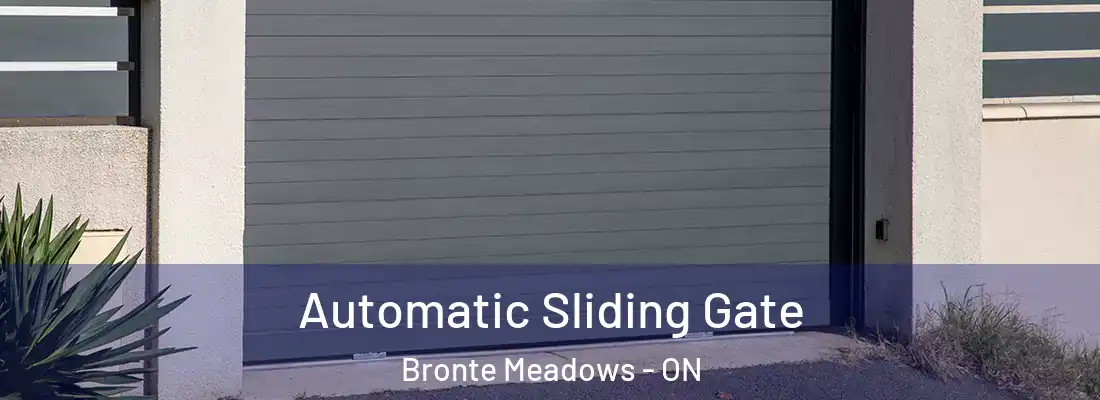  Automatic Sliding Gate Bronte Meadows - ON