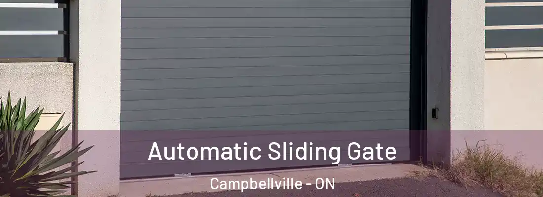  Automatic Sliding Gate Campbellville - ON