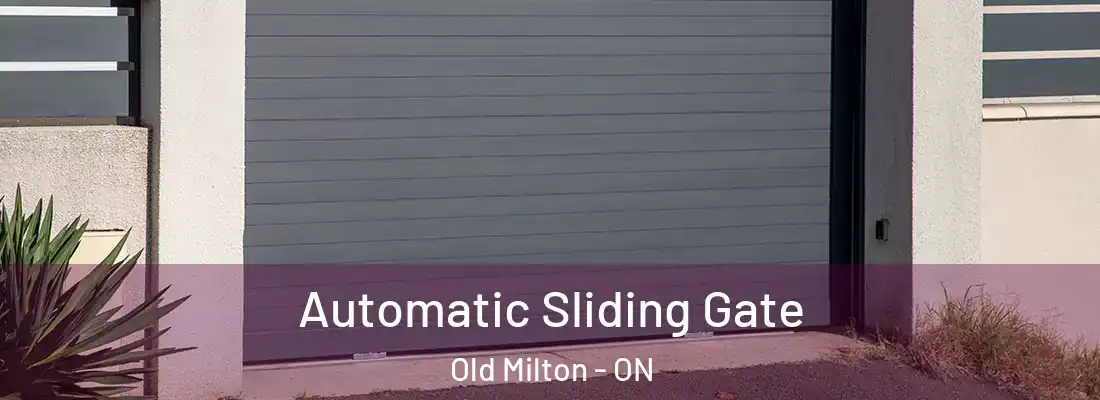  Automatic Sliding Gate Old Milton - ON