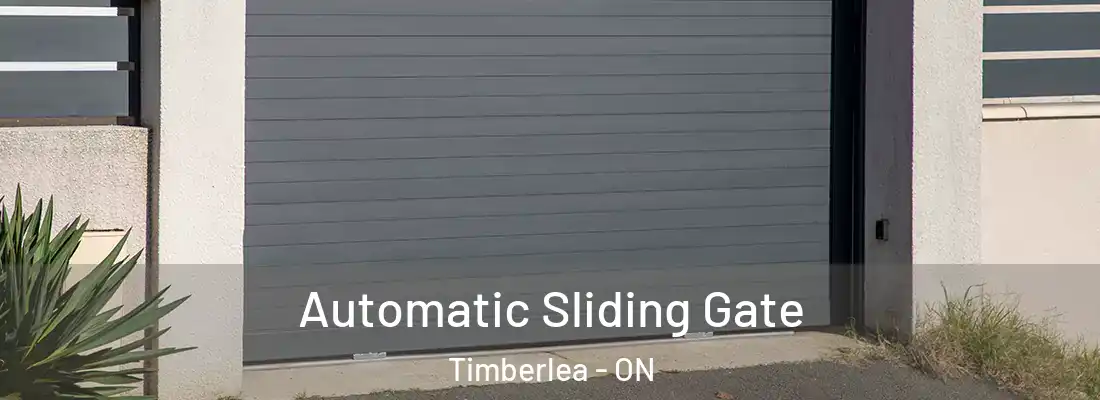  Automatic Sliding Gate Timberlea - ON