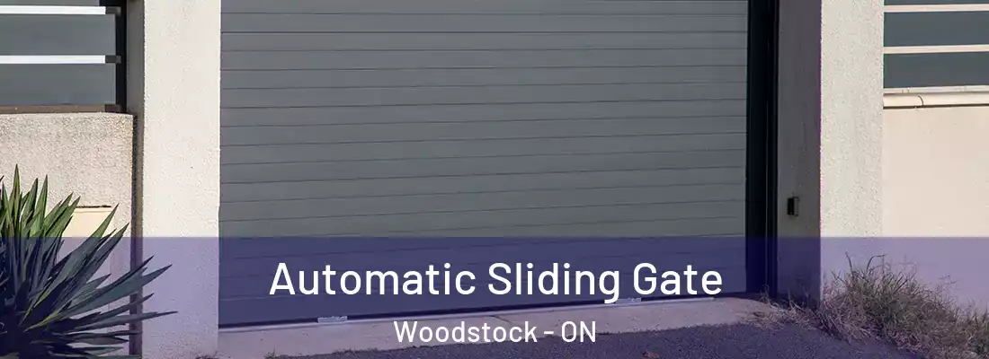  Automatic Sliding Gate Woodstock - ON