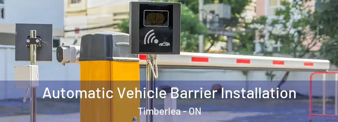  Automatic Vehicle Barrier Installation Timberlea - ON