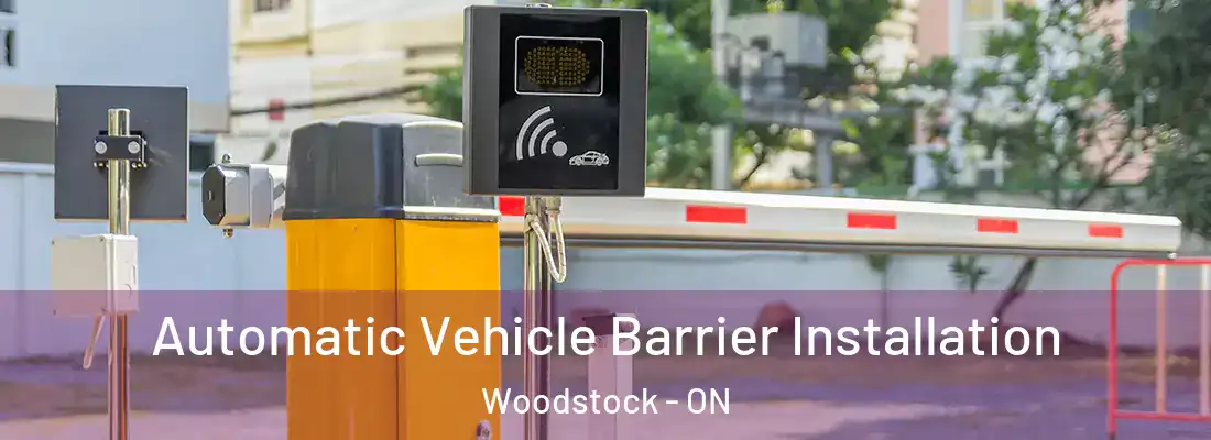  Automatic Vehicle Barrier Installation Woodstock - ON