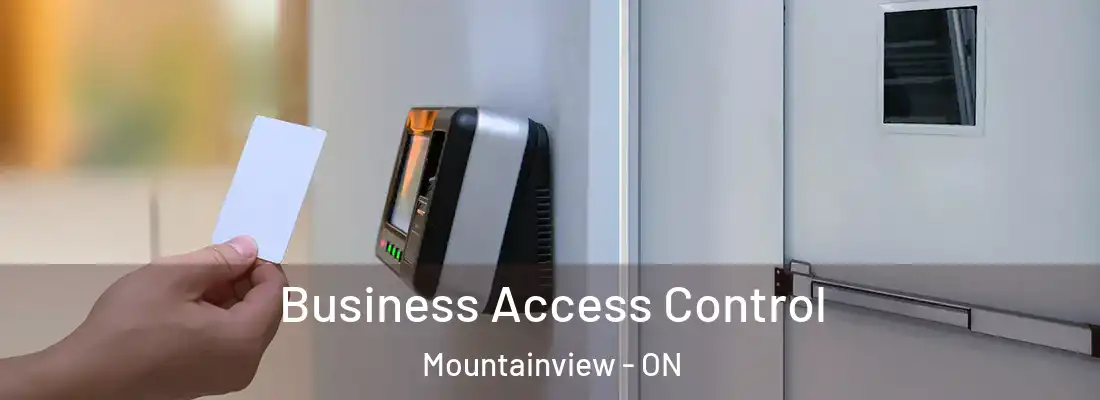  Business Access Control Mountainview - ON