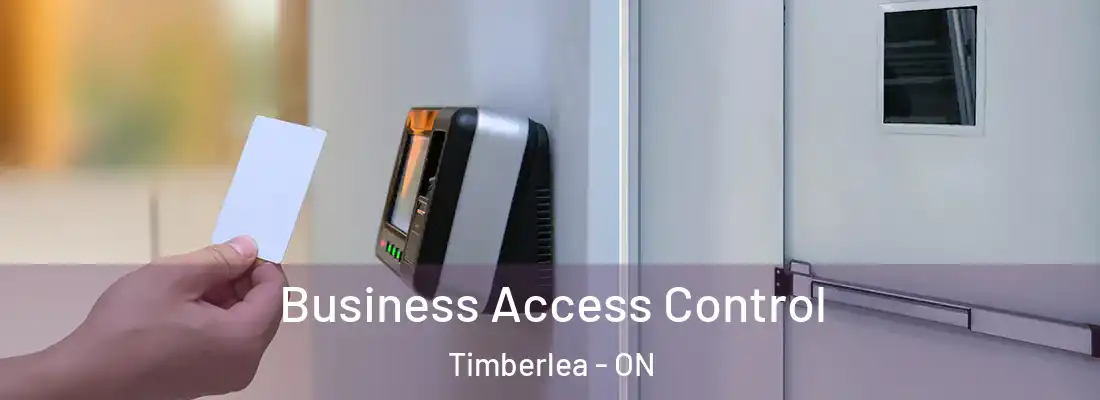  Business Access Control Timberlea - ON