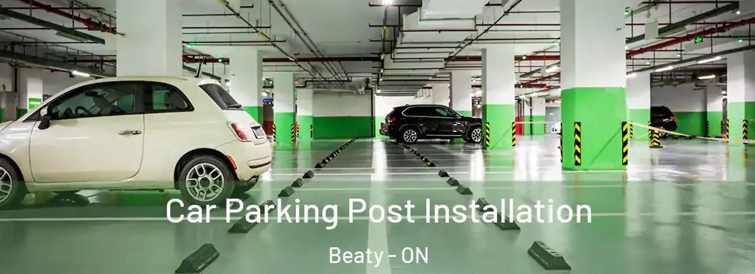  Car Parking Post Installation Beaty - ON