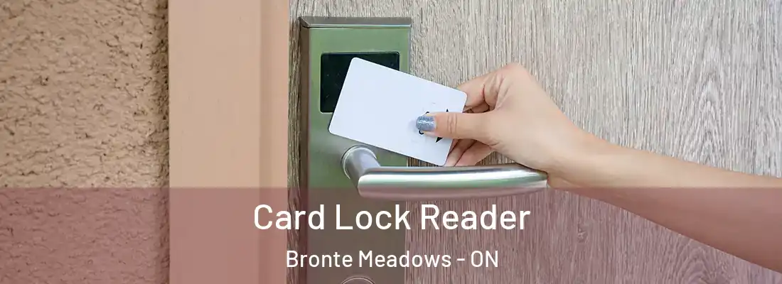  Card Lock Reader Bronte Meadows - ON