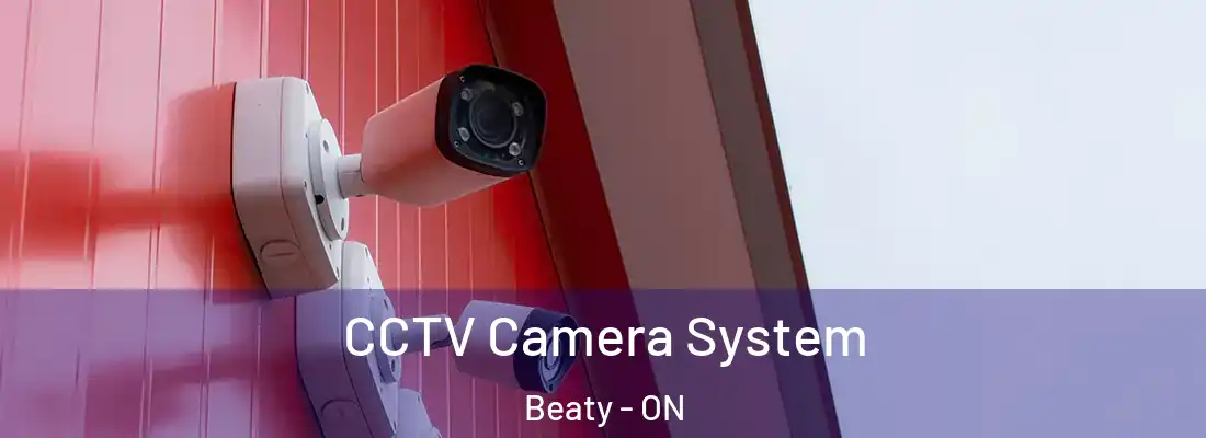  CCTV Camera System Beaty - ON
