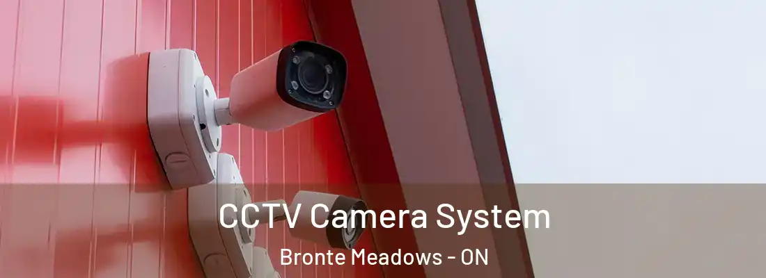  CCTV Camera System Bronte Meadows - ON
