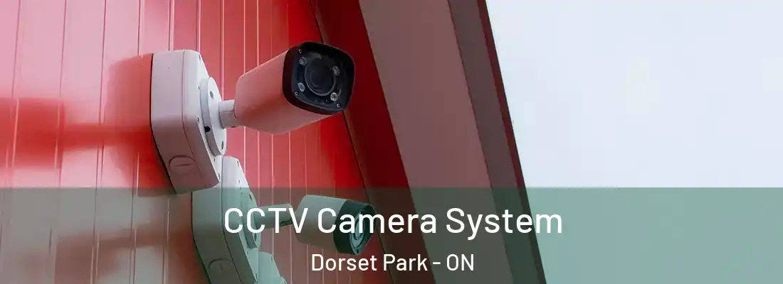  CCTV Camera System Dorset Park - ON