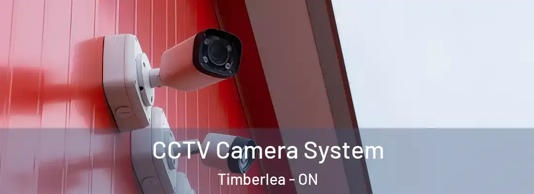  CCTV Camera System Timberlea - ON