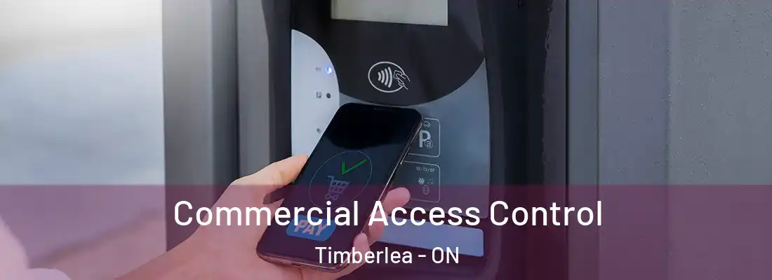  Commercial Access Control Timberlea - ON