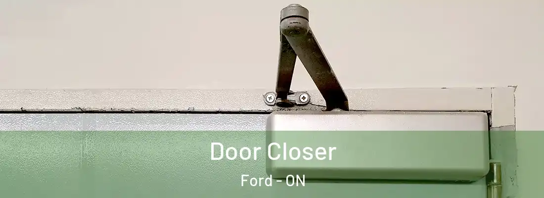  Door Closer Ford - ON