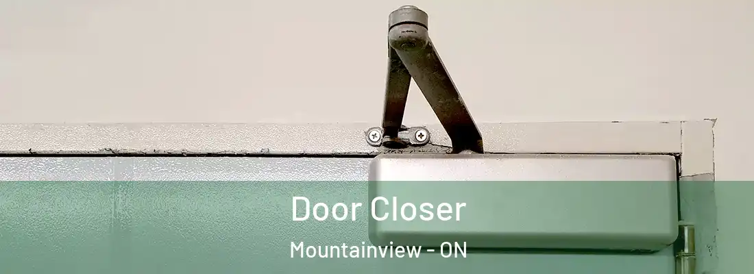 Door Closer Mountainview - ON