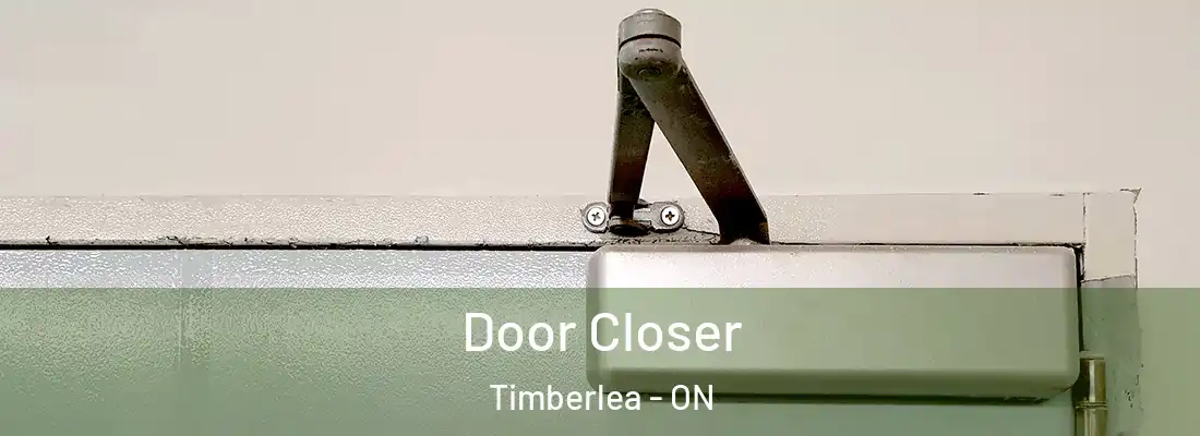  Door Closer Timberlea - ON