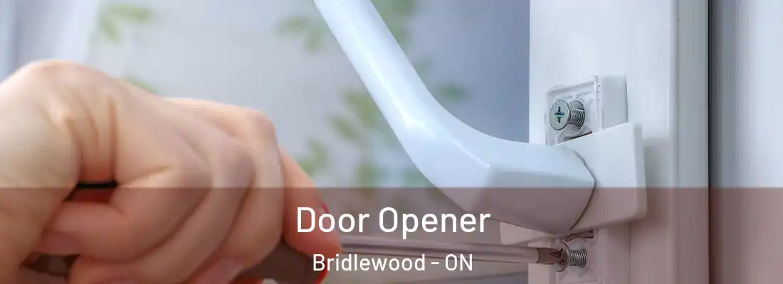  Door Opener Bridlewood - ON