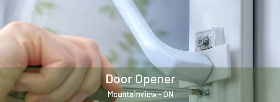  Door Opener Mountainview - ON