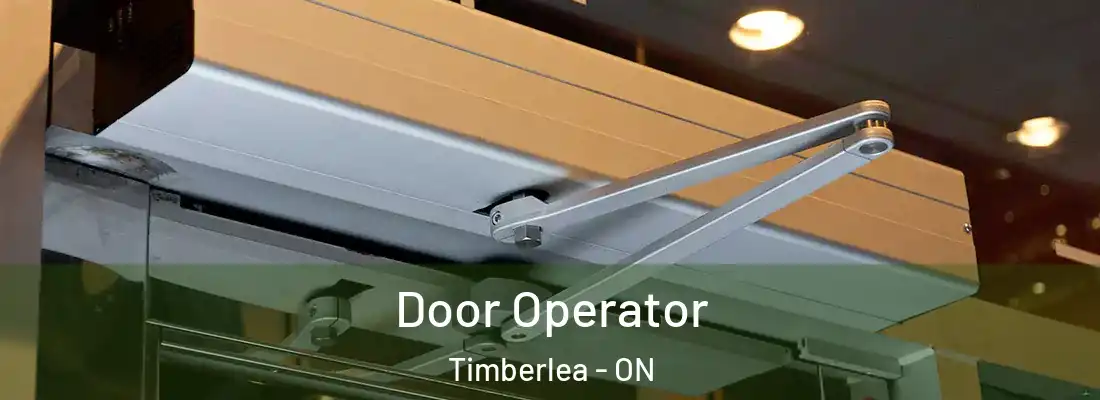  Door Operator Timberlea - ON