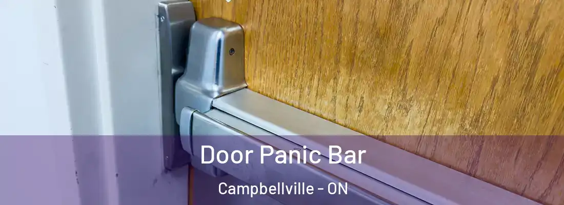  Door Panic Bar Campbellville - ON