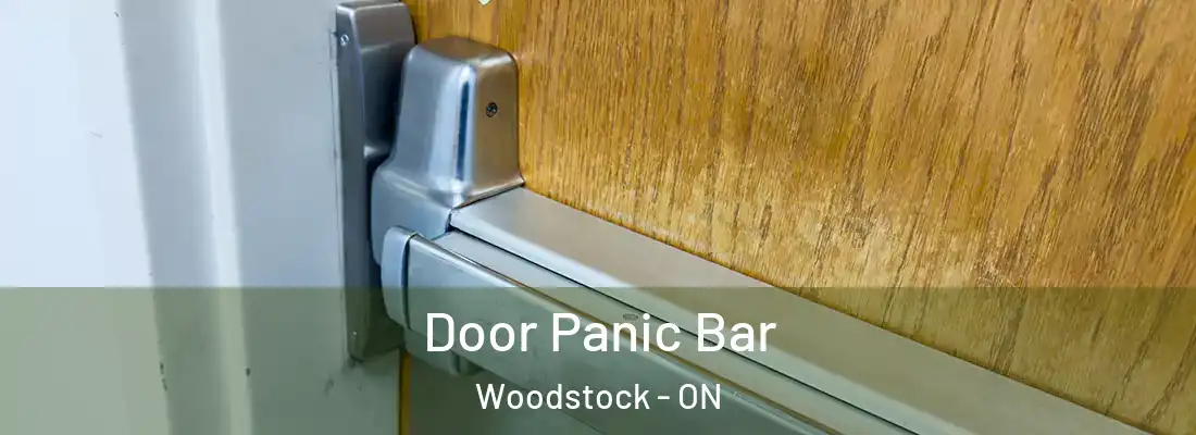  Door Panic Bar Woodstock - ON