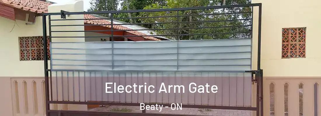  Electric Arm Gate Beaty - ON