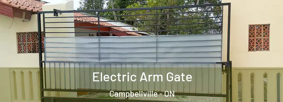  Electric Arm Gate Campbellville - ON