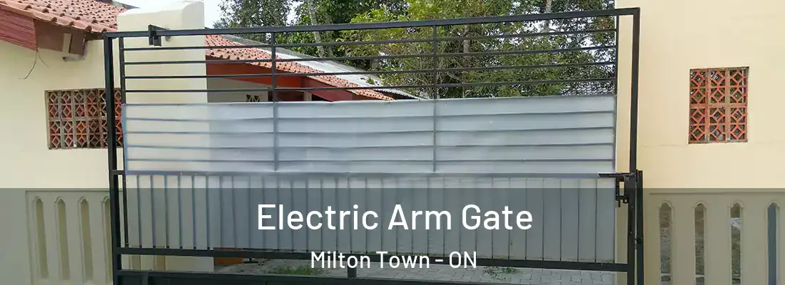  Electric Arm Gate Milton Town - ON