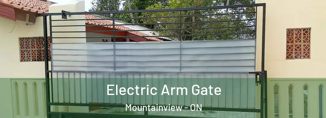  Electric Arm Gate Mountainview - ON
