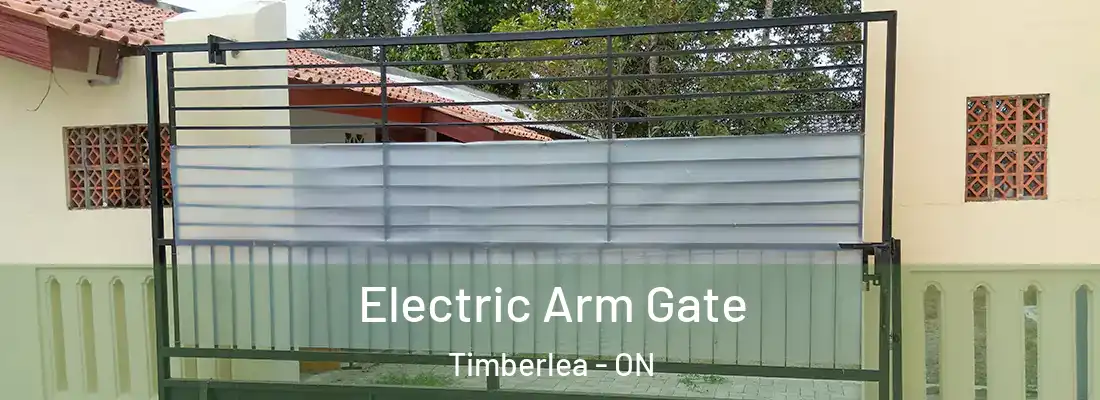  Electric Arm Gate Timberlea - ON