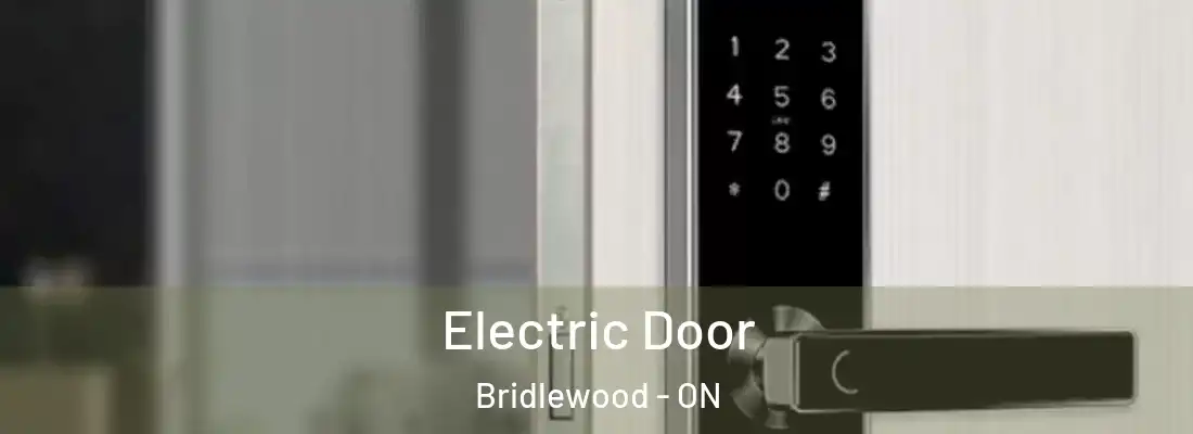  Electric Door Bridlewood - ON