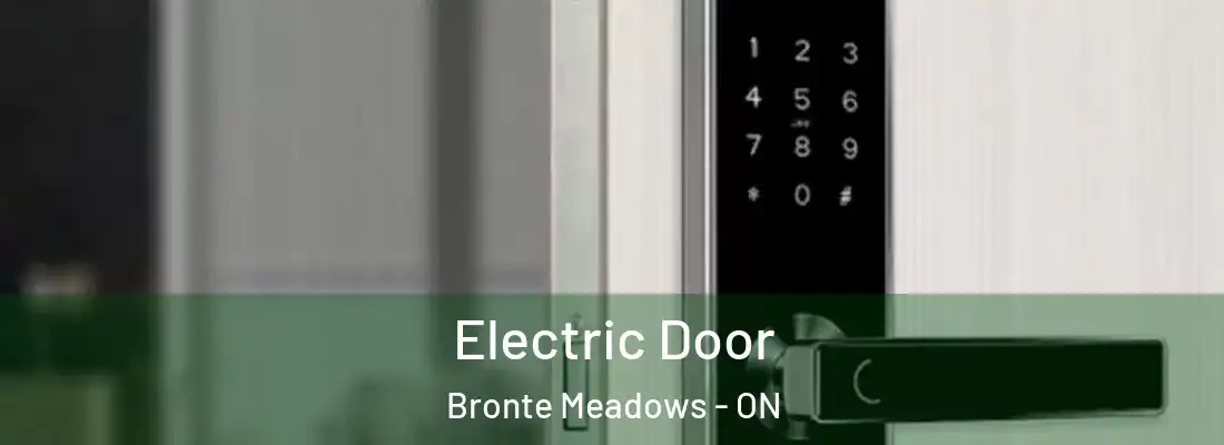  Electric Door Bronte Meadows - ON
