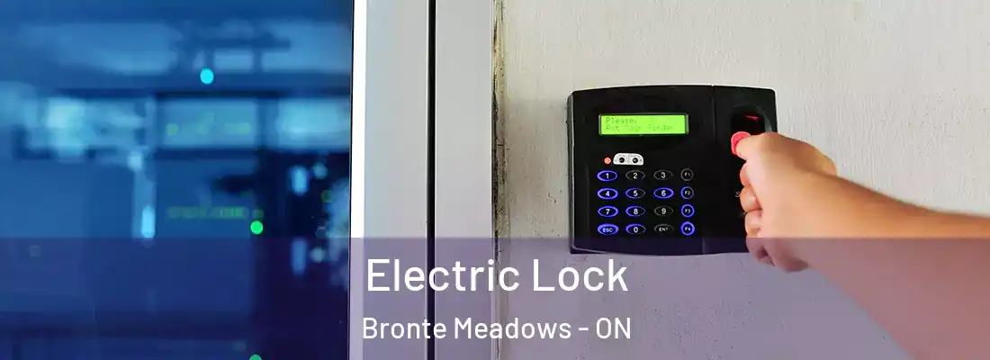  Electric Lock Bronte Meadows - ON