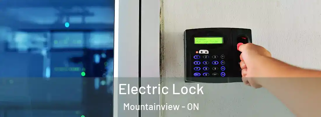  Electric Lock Mountainview - ON