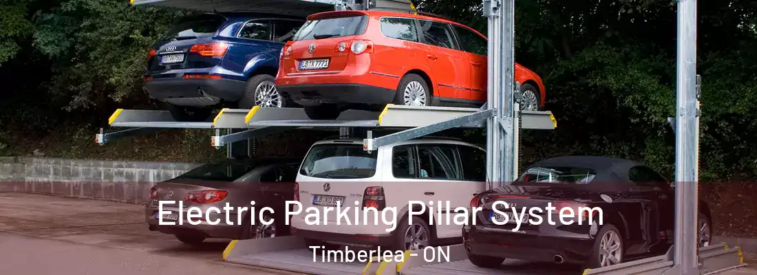  Electric Parking Pillar System Timberlea - ON