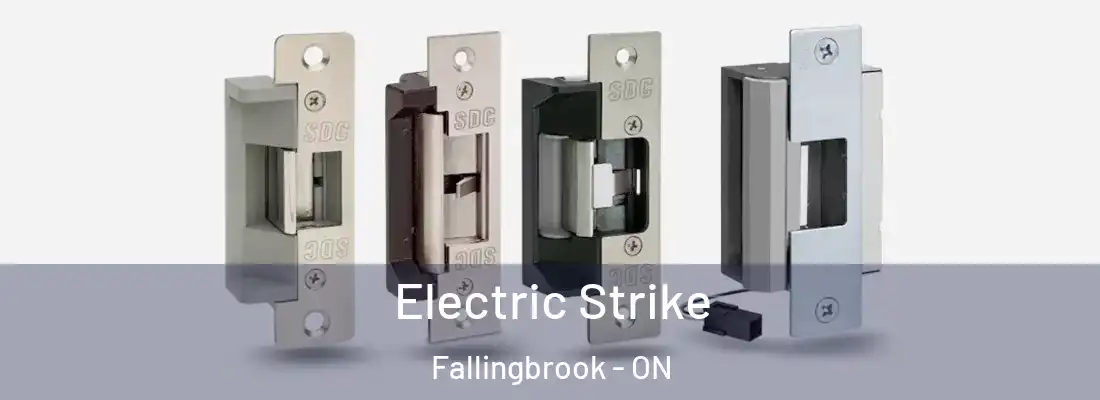  Electric Strike Fallingbrook - ON