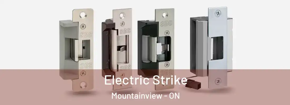  Electric Strike Mountainview - ON