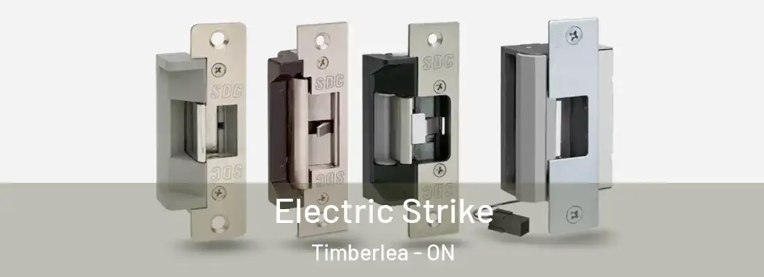 Electric Strike Timberlea - ON
